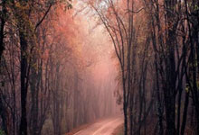 穆里尼奥13场不败,领头羊出招!阿隆索卫冕有望,伤病冲击拜仁.