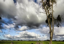 (杭州亚残运会)亚残运会开幕式诠释“残健共融”:手拉手,我们是一家中国新闻网.